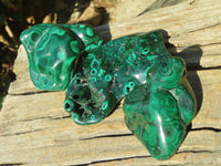 Polished Malachite Free Forms x 3 From Kolwezi, Congo - Toprock Gemstones and Minerals 