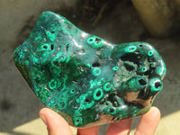 Polished Malachite Free Forms x 3 From Kolwezi, Congo - Toprock Gemstones and Minerals 