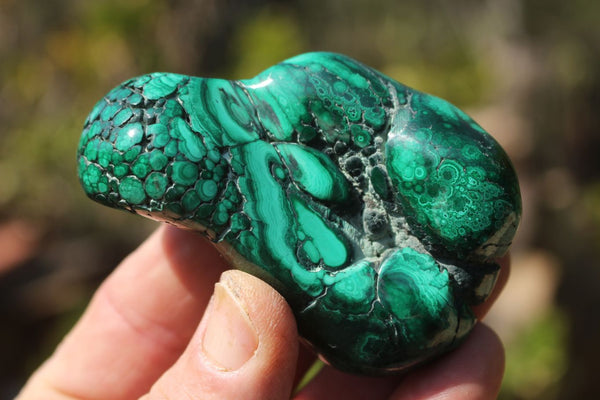 Polished Malachite Free Forms With Stunning Flower & Banding Patterns x 6 From Congo