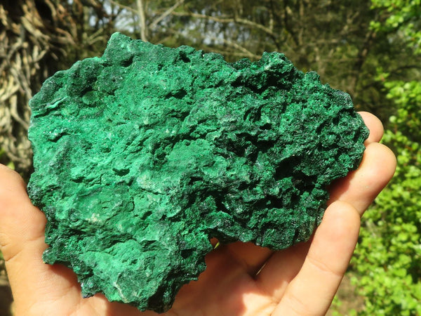 Natural Botryoidal Silky Malachite Specimens  x 2 From Kasompe, Congo - Toprock Gemstones and Minerals 