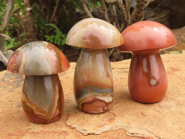 Polished Polychrome / Picasso Jasper Mushrooms  x 12 From Madagascar - TopRock
