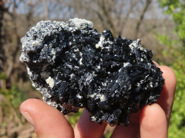 Natural Schorl Black Tourmaline Specimens x 2 From Erongo, Namibia