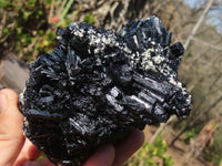 Natural Schorl Black Tourmaline Specimens x 2 From Erongo, Namibia