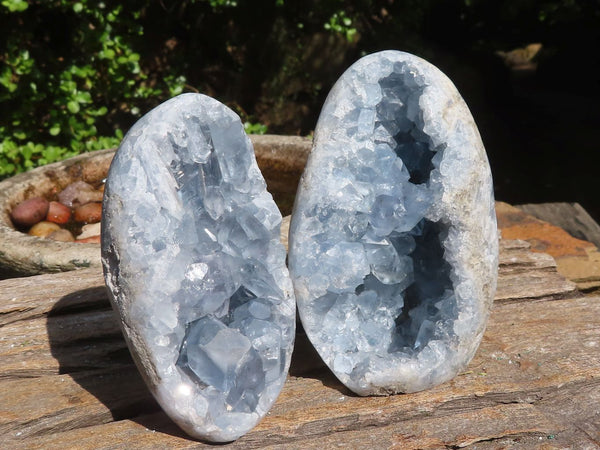 Polished Blue Celestite Standing Free Forms  x 2 From Sakoany, Madagascar - Toprock Gemstones and Minerals 
