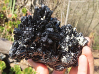 Natural Schorl Black Tourmaline Specimens x 2 From Erongo, Namibia