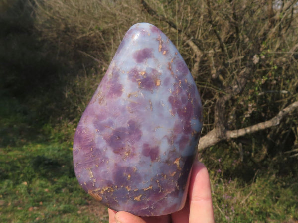Polished Rare Violet 