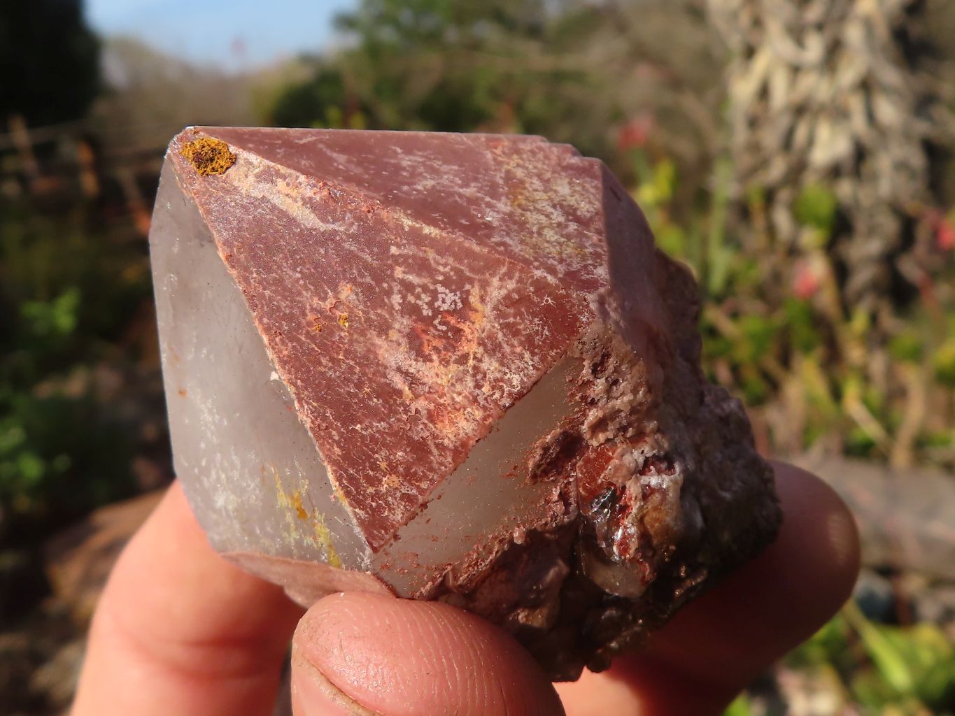 Natural Smokey Hematoid Quartz Crystals  x 35 From Ambositra, Madagascar - Toprock Gemstones and Minerals 