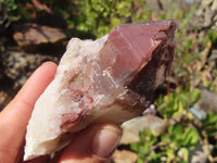 Natural Red Hematoid Quartz Specimens x 12 From Karoi, Zimbabwe - Toprock Gemstones and Minerals 
