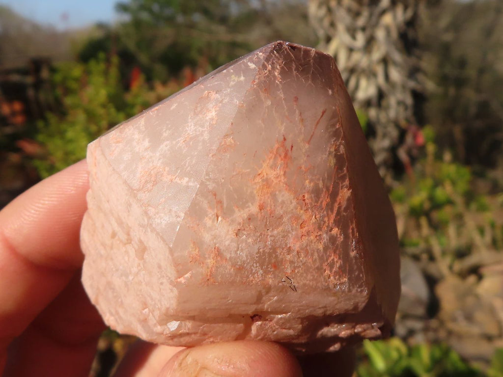 Natural Smokey Hematoid Quartz Crystals  x 35 From Ambositra, Madagascar - Toprock Gemstones and Minerals 