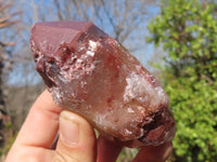 Natural Red Hematoid Quartz Specimens x 12 From Karoi, Zimbabwe - Toprock Gemstones and Minerals 