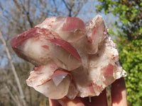 Natural Red Hematoid Quartz Specimens x 12 From Karoi, Zimbabwe - Toprock Gemstones and Minerals 