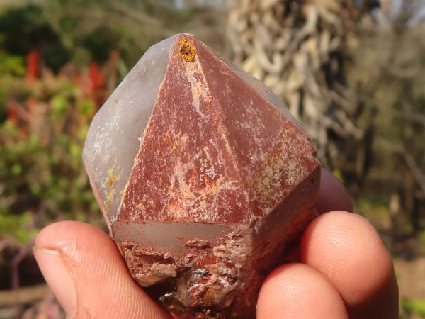 Natural Smokey Hematoid Quartz Crystals  x 35 From Ambositra, Madagascar - Toprock Gemstones and Minerals 