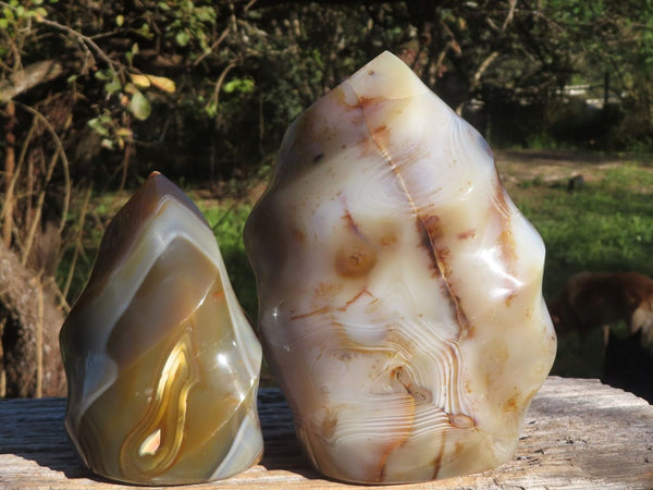 Polished Stunning Banded Agate Flame Sculptures x 2 From Madagascar - TopRock