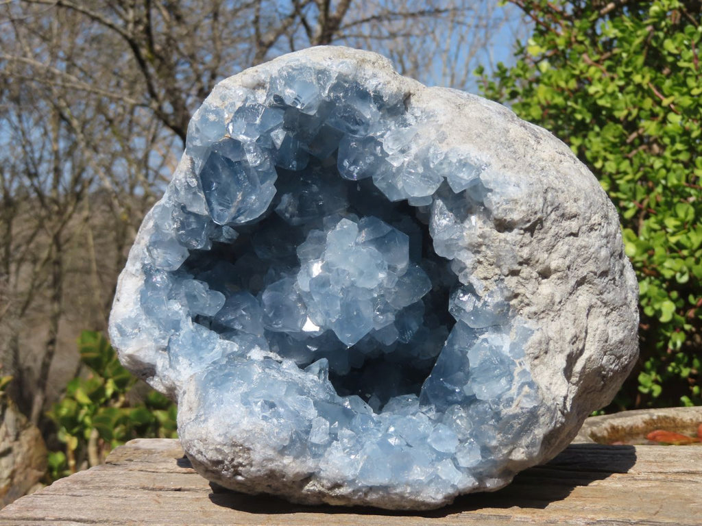 Natural Blue Celestite Geode Specimen x 1 From Sakoany, Madagascar - Toprock Gemstones and Minerals 