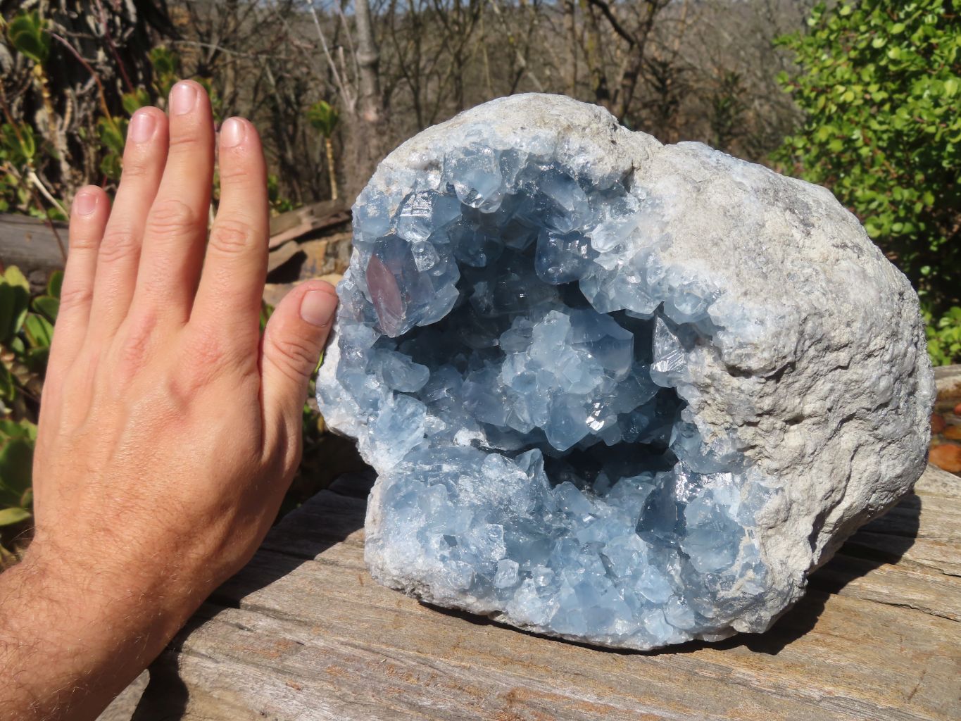 Natural Blue Celestite Geode Specimen x 1 From Sakoany, Madagascar - Toprock Gemstones and Minerals 