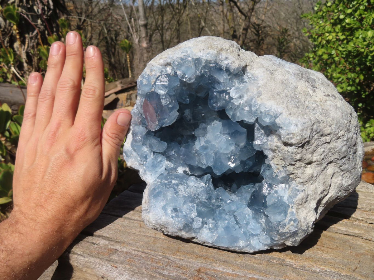 Natural Blue Celestite Geode Specimen x 1 From Sakoany, Madagascar - Toprock Gemstones and Minerals 