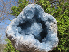 Natural Blue Celestite Geode Specimen x 1 From Sakoany, Madagascar - Toprock Gemstones and Minerals 