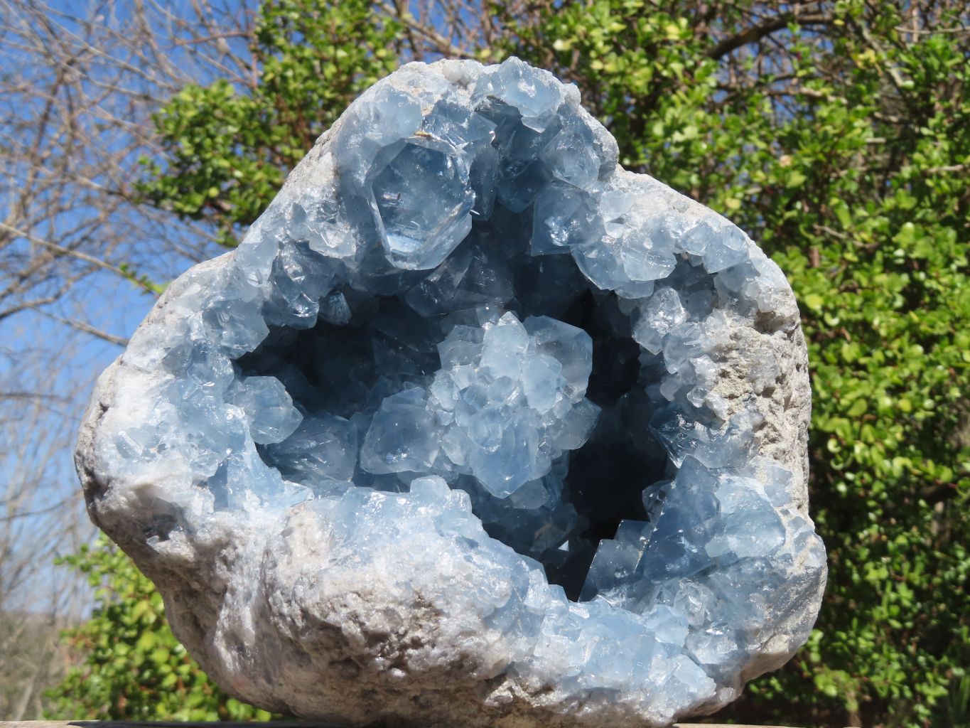 Natural Blue Celestite Geode Specimen x 1 From Sakoany, Madagascar - Toprock Gemstones and Minerals 