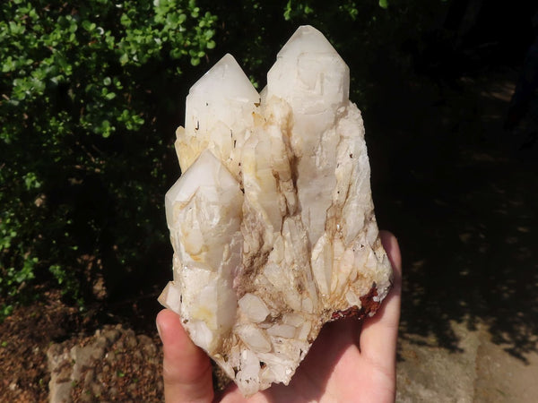 Natural White Pineapple Quartz Crystals  x 2 From Madagascar - TopRock