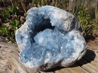 Natural Blue Celestite Geode Specimen x 1 From Sakoany, Madagascar - Toprock Gemstones and Minerals 