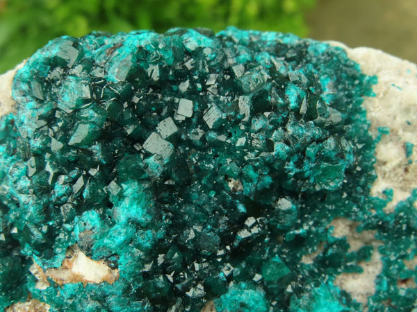 Natural Large Cabinet Sized Emerald Dioptase Specimen x 1 From Congo - TopRock