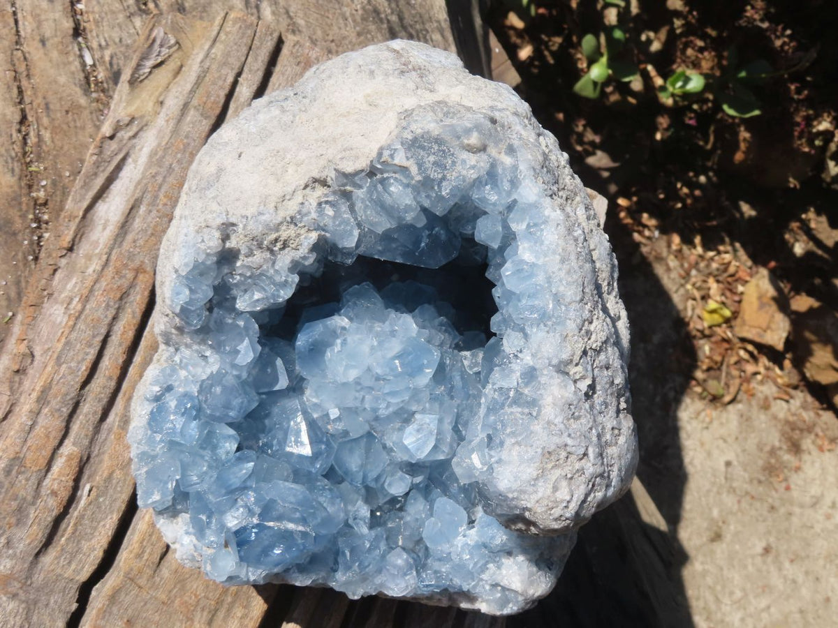 Natural Blue Celestite Geode Specimen x 1 From Sakoany, Madagascar - Toprock Gemstones and Minerals 