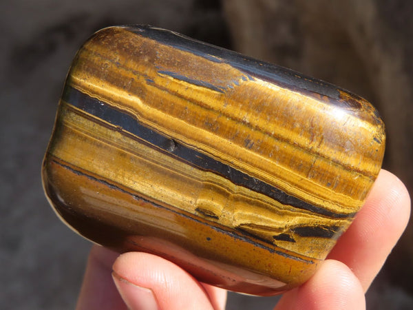 Polished Golden Tigers Eye Free Forms x 6 From Prieska, South Africa