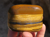 Polished Golden Tigers Eye Free Forms x 6 From Prieska, South Africa