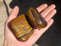 Polished Golden Tigers Eye Free Forms x 6 From Prieska, South Africa