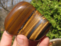 Polished Golden Tigers Eye Free Forms x 6 From Prieska, South Africa