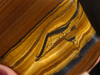 Polished Golden Tigers Eye Free Forms x 6 From Prieska, South Africa