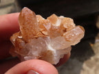 Natural Mini Golden Limonite Quartz Clusters  x 70 From Zambia - Toprock Gemstones and Minerals 