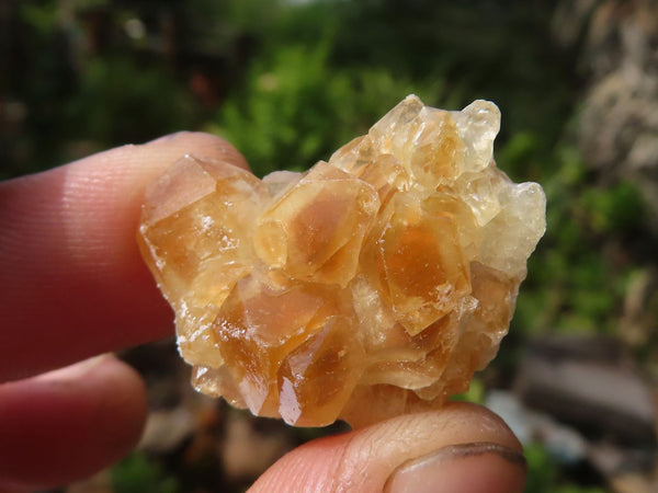 Natural Mini Golden Limonite Quartz Clusters  x 70 From Zambia - Toprock Gemstones and Minerals 