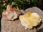 Natural Mini Golden Limonite Quartz Clusters  x 70 From Zambia - Toprock Gemstones and Minerals 