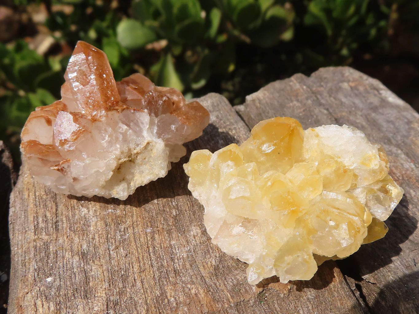 Natural Mini Golden Limonite Quartz Clusters  x 70 From Zambia - Toprock Gemstones and Minerals 