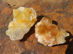 Natural Mini Golden Limonite Quartz Clusters  x 70 From Zambia - Toprock Gemstones and Minerals 