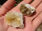 Natural Mini Golden Limonite Quartz Clusters  x 70 From Zambia - Toprock Gemstones and Minerals 