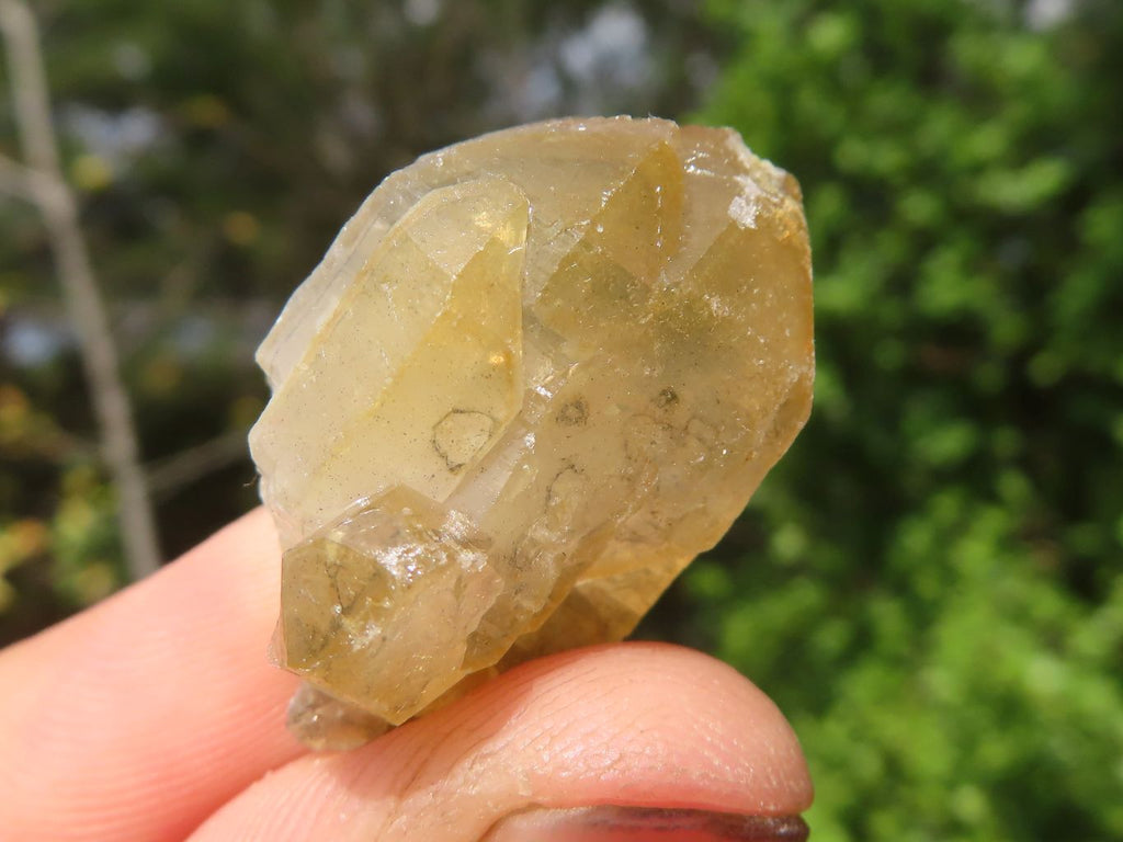 Natural Mini Golden Limonite Quartz Clusters  x 70 From Zambia - Toprock Gemstones and Minerals 