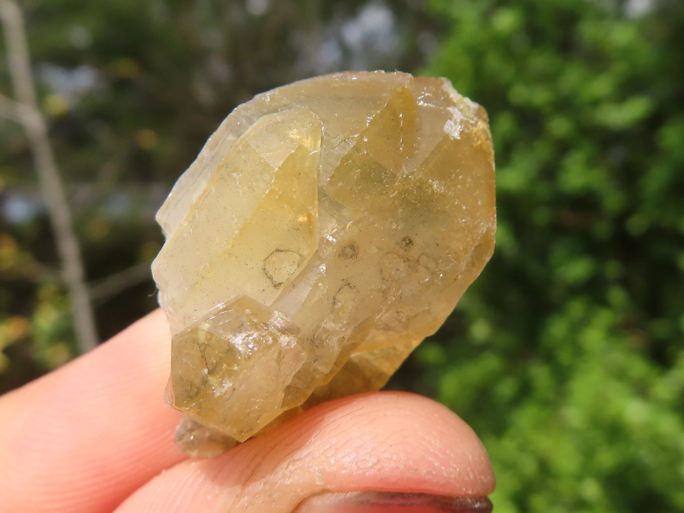 Natural Mini Golden Limonite Quartz Clusters  x 70 From Zambia - Toprock Gemstones and Minerals 