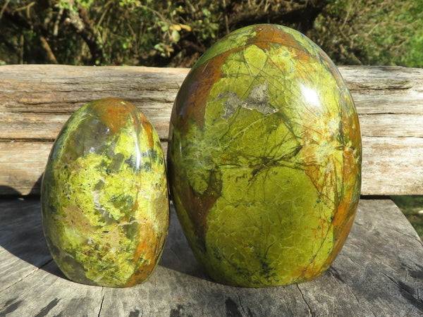 Polished Vibrant Green Opal Standing Free Forms x 2 From Antsirabe, Madagascar - TopRock