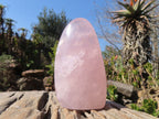 Polished Pink Rose Quartz Points & Standing Free Form x 3 From Antsirabe, Madagascar - Toprock Gemstones and Minerals 