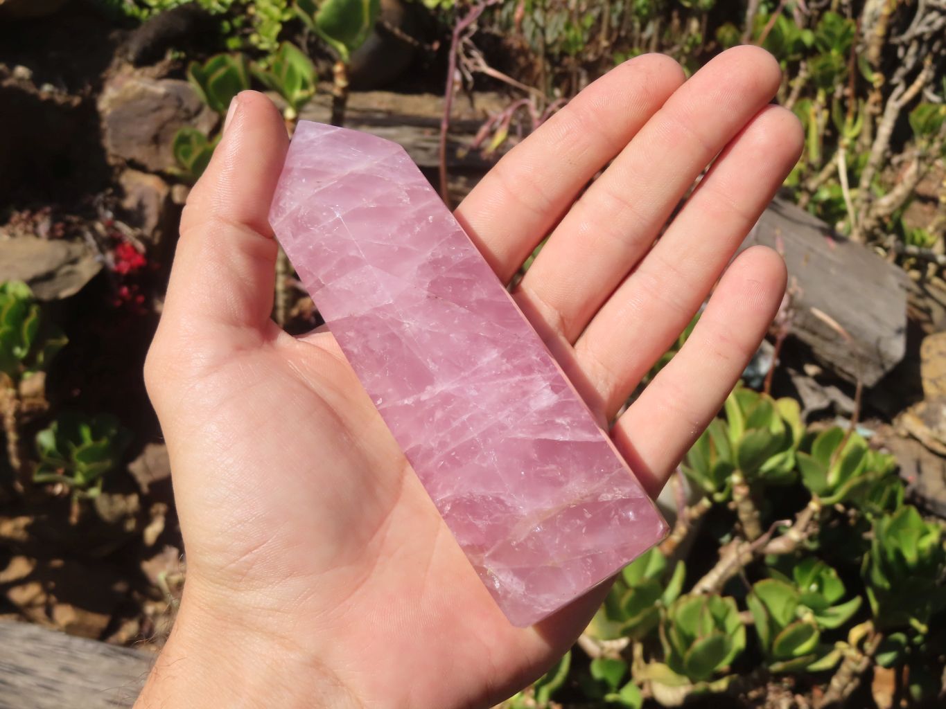 Polished Pink Rose Quartz Points & Standing Free Form x 3 From Antsirabe, Madagascar - Toprock Gemstones and Minerals 