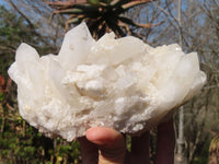 Natural White Phantom Quartz Specimens  x 2 From Madagascar - Toprock Gemstones and Minerals 