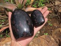 Polished Sparkling Blue Iolite / Water Sapphire Standing Free Forms  x 3 From Madagascar - TopRock