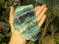 Polished  One Side Polished Watermelon Fluorite Pieces  x 3 From Uis, Namibia - Toprock Gemstones and Minerals 