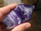 Polished  Mixed Selection Of Amethyst Points  x 6 From Madagascar - TopRock