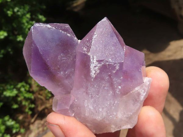 Natural Single Jacaranda Amethyst Crystals  x 12 From Mumbwa, Zambia - Toprock Gemstones and Minerals 