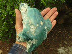 Polished One Side Polished Emerald Mtorolite Plates  x 2 From Mutorashanga, Zimbabwe - Toprock Gemstones and Minerals 