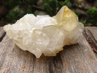 Natural Golden Lemonite / Limonite Quartz Clusters  x 24 From Zambia - TopRock