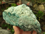 Polished One Side Polished Emerald Mtorolite Plates  x 2 From Mutorashanga, Zimbabwe - Toprock Gemstones and Minerals 